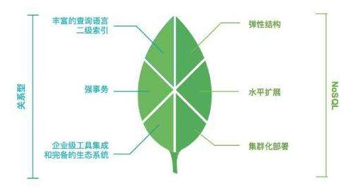 1-1P51609323NZ.png 1-1P51609323NZ.png