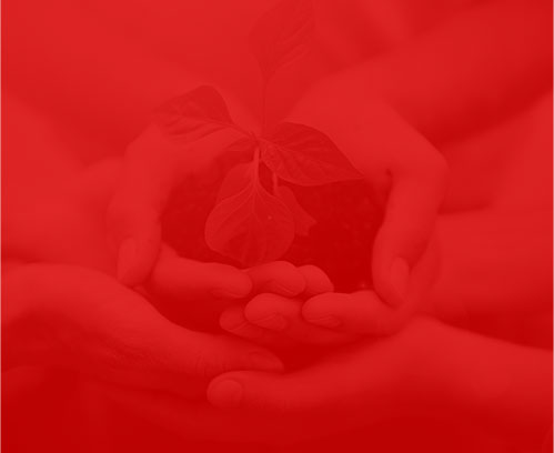 深圳建站网络公司-商业设计