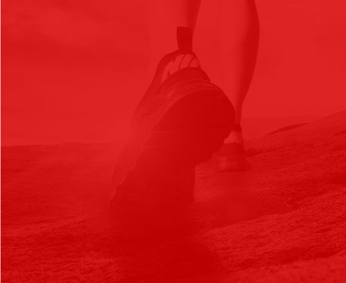 深圳建站网络公司--鼎力相助